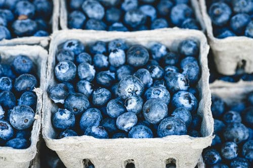 Digital Course | Spiro Health and Wellness