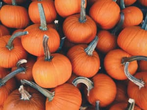 10 Reasons You Should Eat Pumpkins | Spiro Health and Wellness