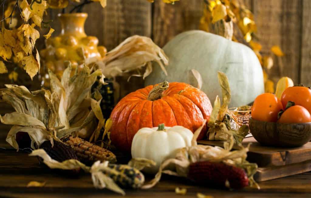 5 Tips for a Healthier Thanksgiving | Spiro Health and Wellness