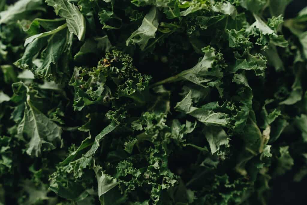 How to Love Your Leafy Greens | Spiro Health & Wellness
